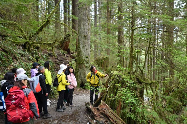 Thanks to PlanH grants, West Vancouver’s WIC program is helping newcomers build stronger connections