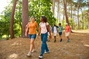people walking in forest