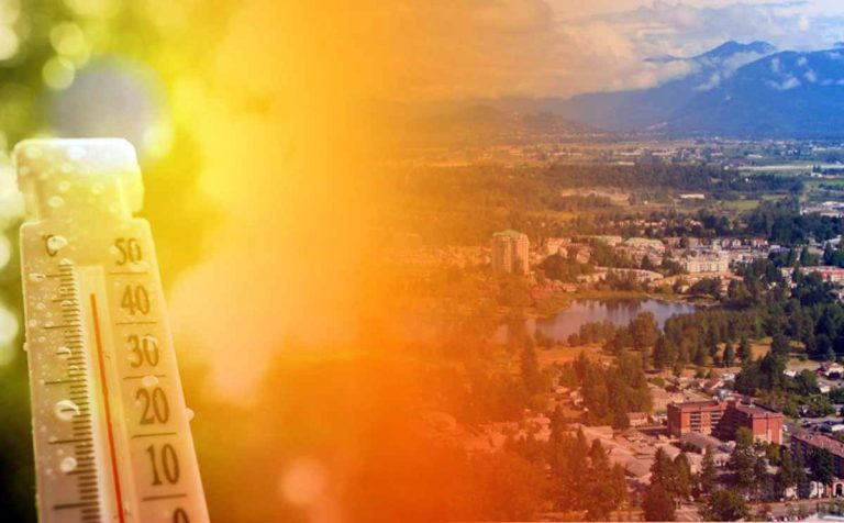How Abbotsford turned pharmacy counters into a lifeline for older adults facing extreme heat 
