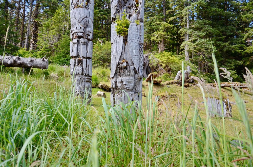 SGang Gwaay, on Haida Gwaii, where weathered Haida totem poles stand facing the Pacific Ocean. July 2023.