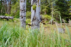 SGang Gwaay, on Haida Gwaii, where weathered Haida totem poles stand facing the Pacific Ocean. July 2023.