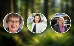 Portraits of new BCHC board members Sherry Baker, Dr. Louisa-May Khoo and Renée Laboucane, left to right, on a blurred forest background